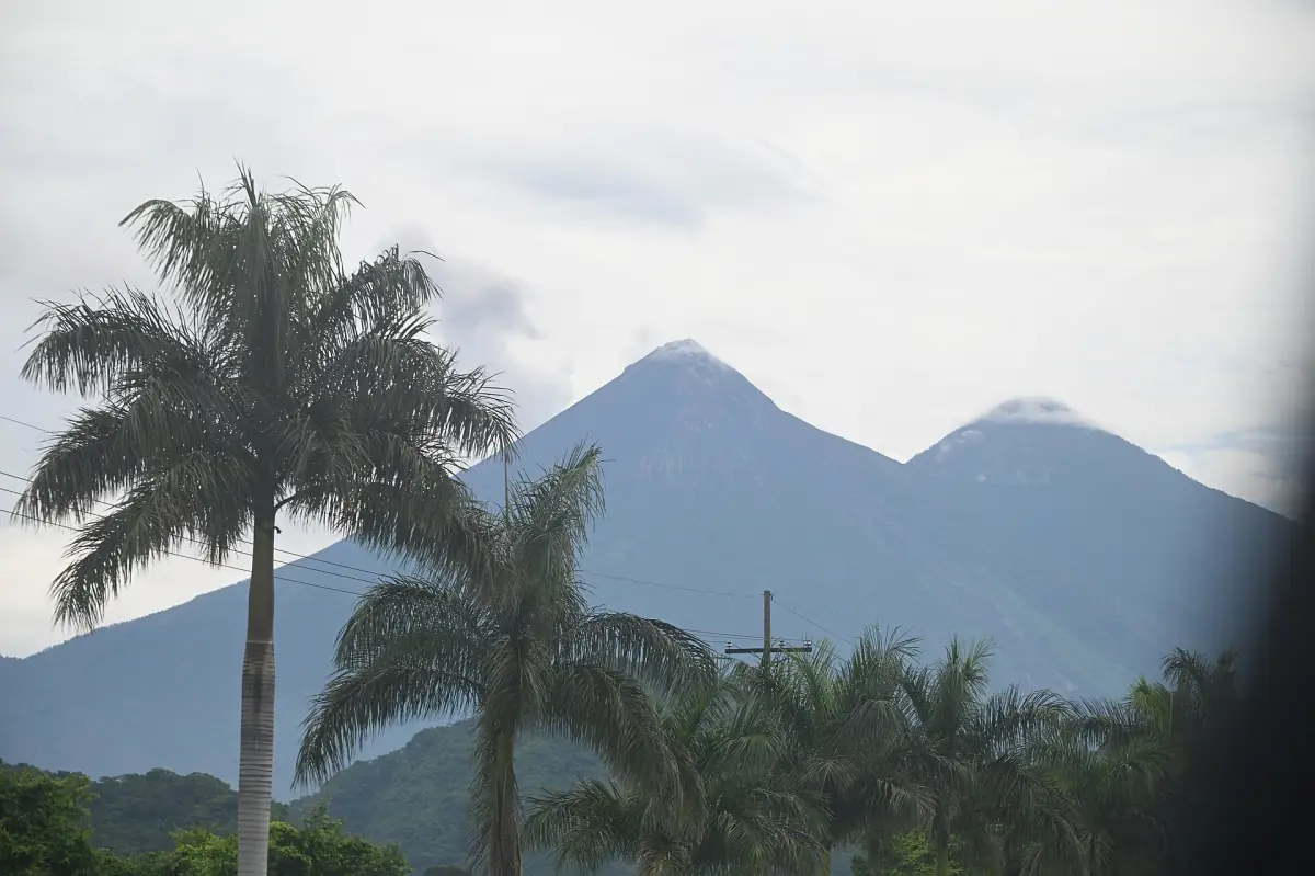 Fuego and Acatenango volcanoes behind palm trees
